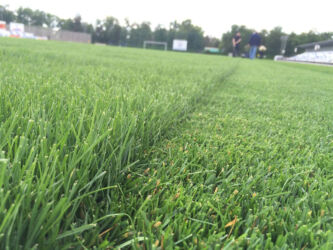 Реконструкция футбольного поля с. Песчанокопское