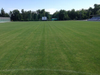 футбольное поле с натуральным газоном с. Песчанокопское