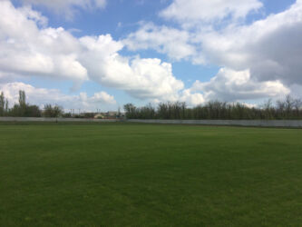 Газон футбольного поля на объекте